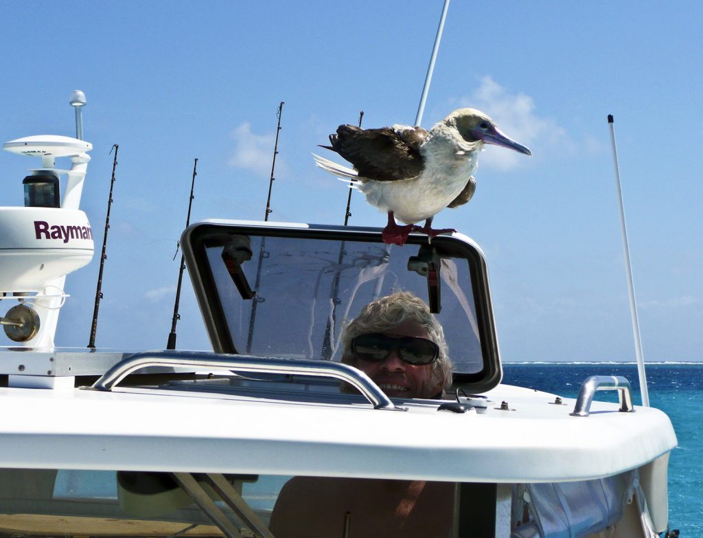 Remote Area Cruising