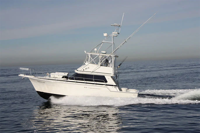 premium sportfish repower
